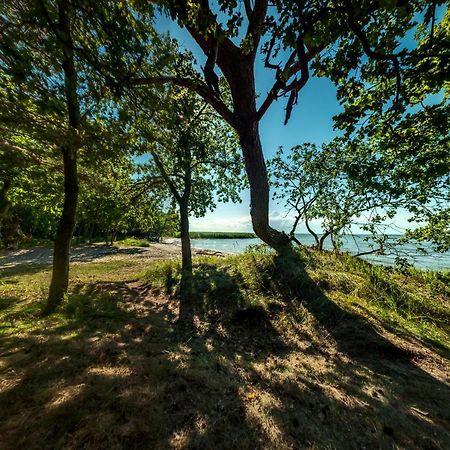 Traumhaff Historischer Kahnschifferhof Mit Kamin, Liebevoll Restauriert Vogelsang-Warsin Eksteriør billede